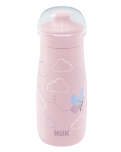 NUK Mini-Me Sip Trinkflasche 300ml mit Trinkaufsatz